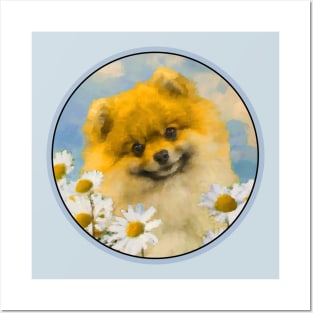 Pomeranian in Daisies (Orange) Posters and Art